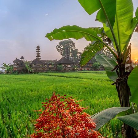 Niki - Serenity And Elegance - Villa In Ubud With Panoramic Temple Views Zewnętrze zdjęcie